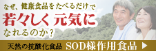 SOD様作用食品