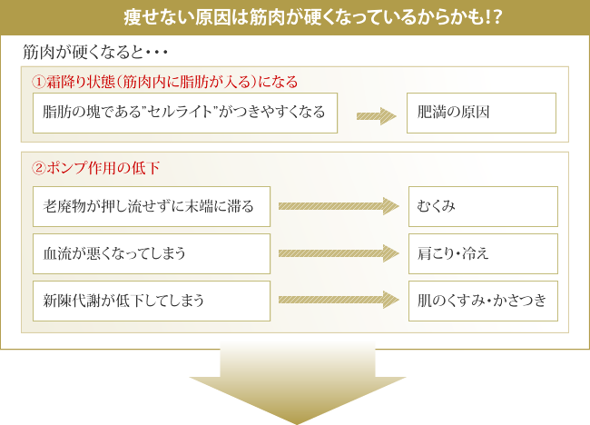 痩せない原因は筋肉が硬くなっているからかも！？