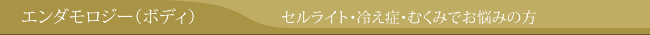 エンダモロジー（ボディ）