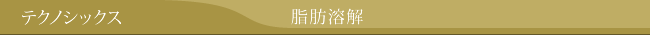 テクノシックス