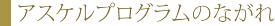 アスケルプログラムのながれ