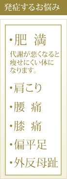 「肥満」代謝が悪くなると痩せにくい体になります。